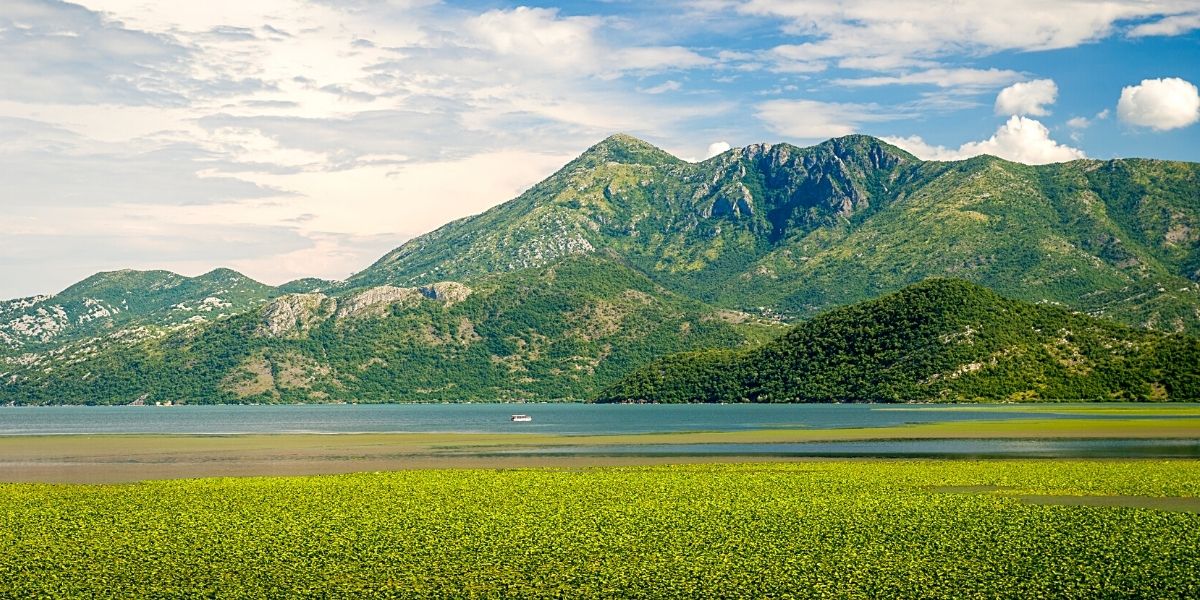 Скадарське озеро - природне диво на межі Чорногорії та Албанії