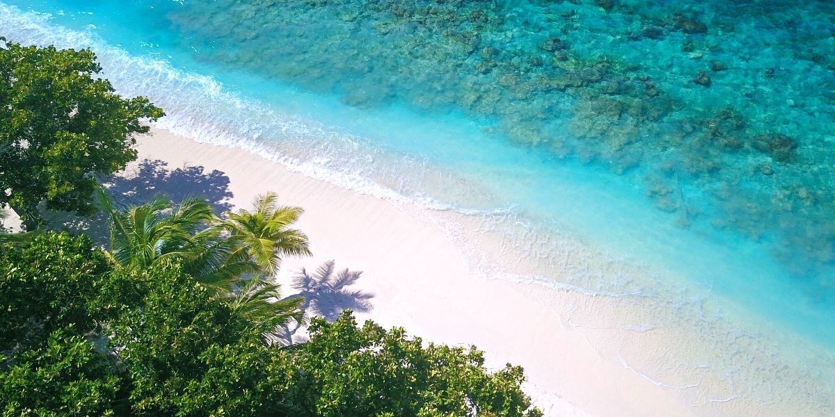 Тропічна зелень, білосніжний пісок, бірюзовий океан - ласкаво просимо на Мальдіви!
