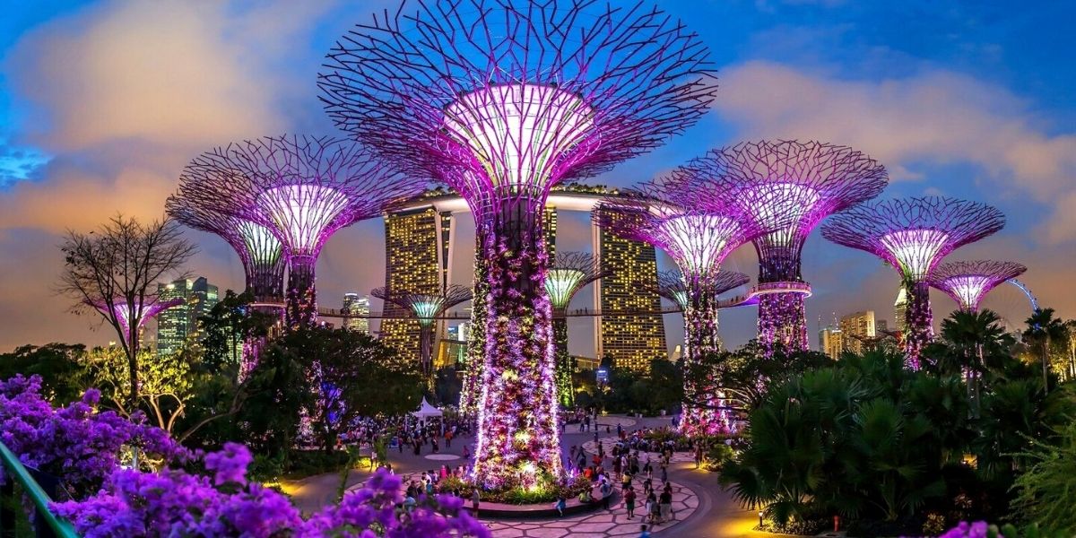 Впечатляющие Сады у залива - одно из современных чудес в Центральном районе Сингапура