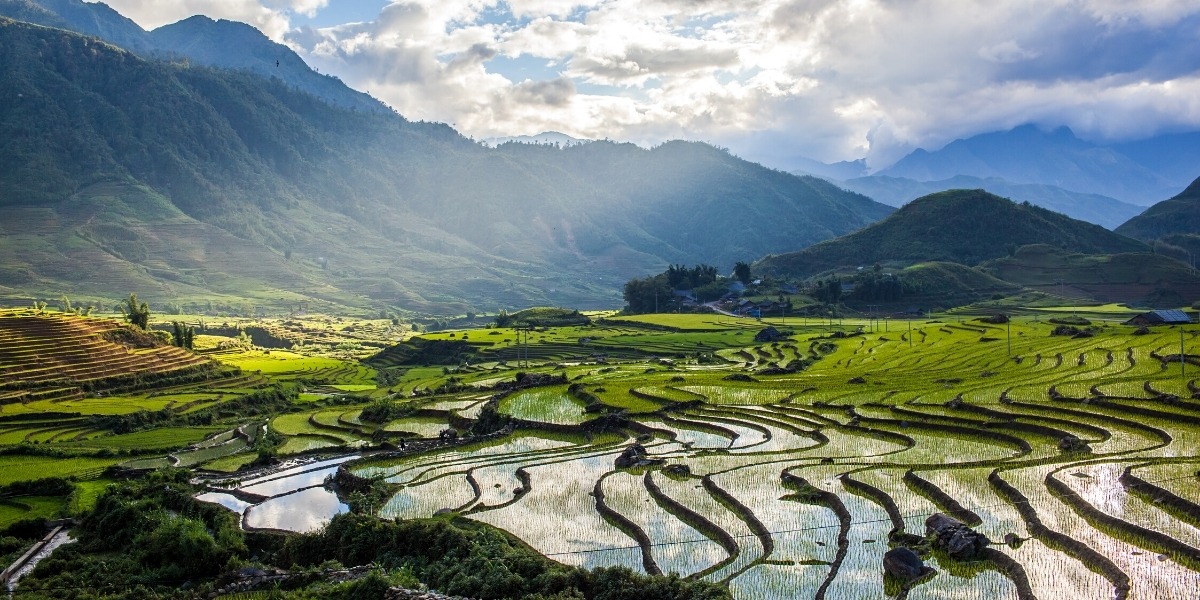 Мальовничі рисові тераси у В'єтнамі