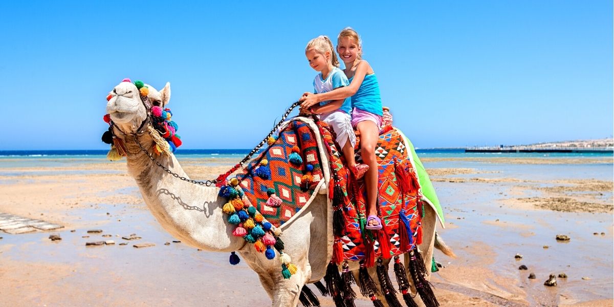 Для отдыха в Египте с детками выбирайте высокий сезон